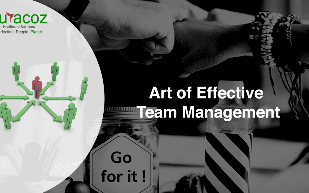 Art of Effective Team Management