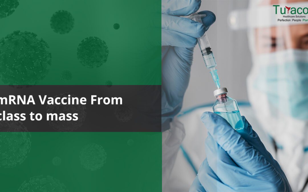 mRNA Vaccine: From Class to Mass